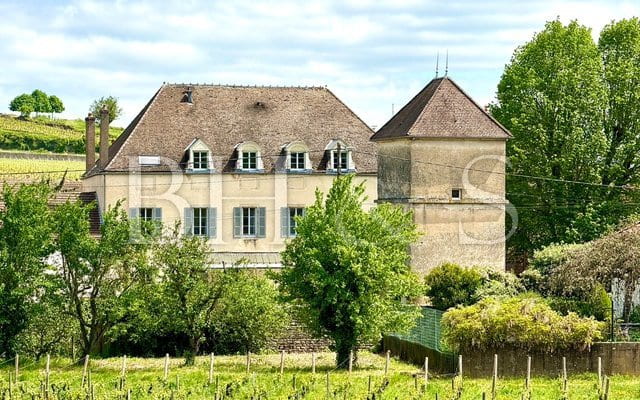 Character property in a wine village