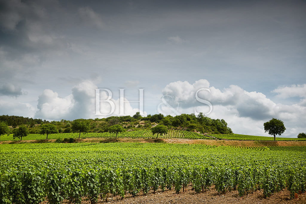 Character property with a gorgeous view on the vineyards