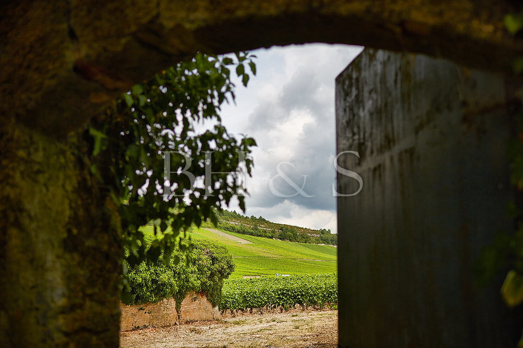 Maison de caractère avec vignes, située proche de Meursault, en Bourgogne